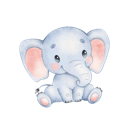 Daxiang Cracked VPN, 大型象类动物破解版翻墙软件