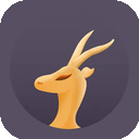 Lingyang Cracked VPN, 羚羊破解版翻墙软件