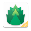Emerald Cracked VPN
